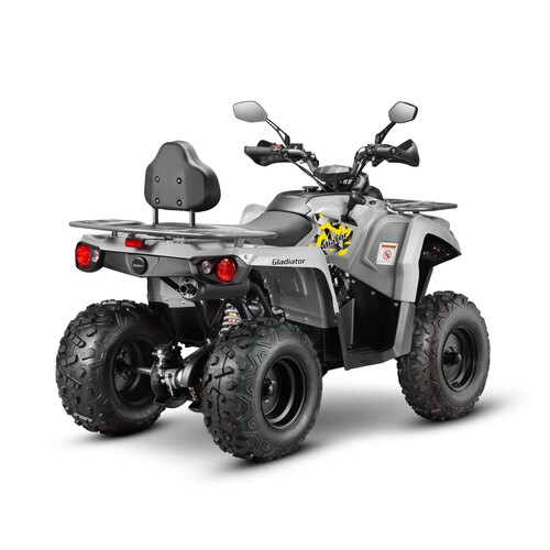 Квадроцикл GLADIATOR F200 серый (Тверь)